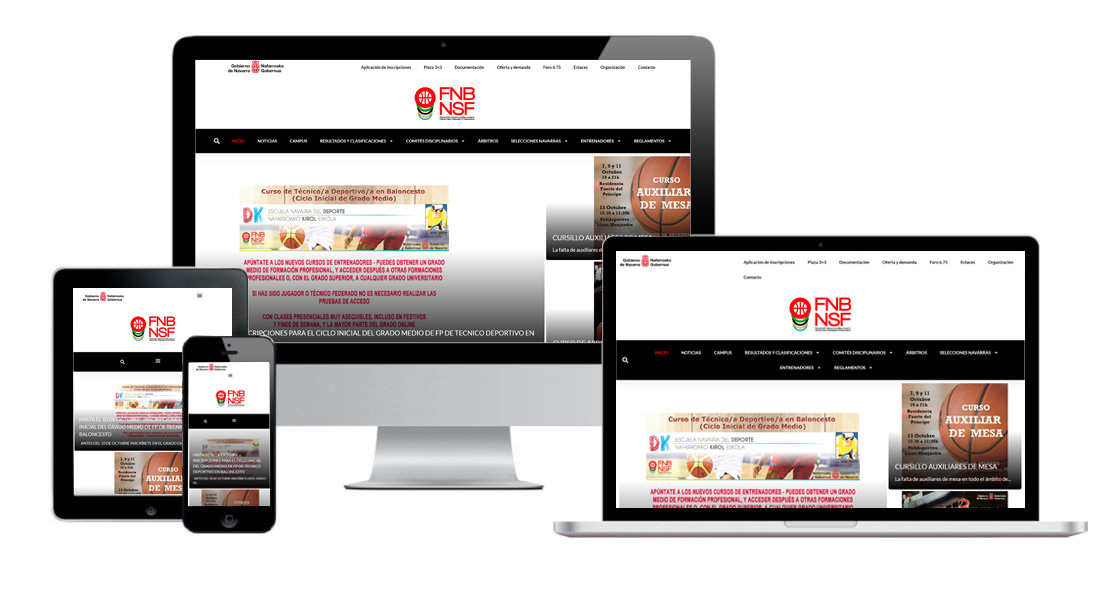 Página web, Federación Navarra de Baloncesto